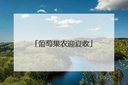 葡萄果农迎夏收
