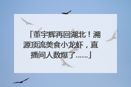 董宇辉再回湖北！溯源顶流美食小龙虾，直播间人数爆了……