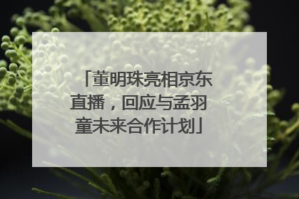 董明珠亮相京东直播，回应与孟羽童未来合作计划