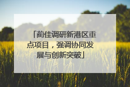 蔺佳调研新港区重点项目，强调协同发展与创新突破