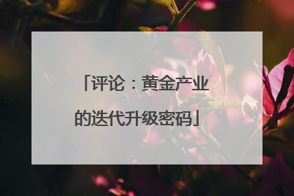 评论：黄金产业的迭代升级密码