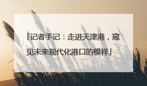 记者手记：走进天津港，窥见未来现代化港口的模样