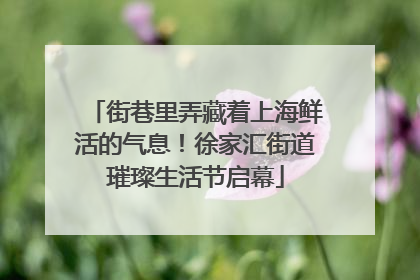 街巷里弄藏着上海鲜活的气息！徐家汇街道璀璨生活节启幕