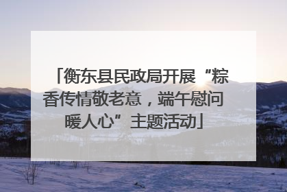 衡东县民政局开展“粽香传情敬老意，端午慰问暖人心”主题活动