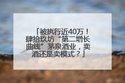 被执行近40万！肆拾玖坊“第二增长曲线”茅泉酒业，卖酒还是卖模式？