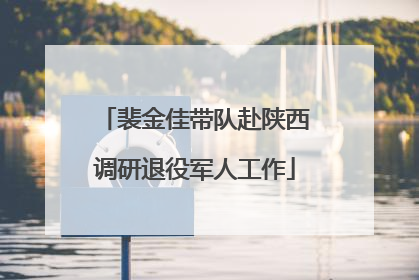 裴金佳带队赴陕西调研退役军人工作