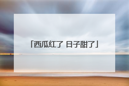 西瓜红了 日子甜了