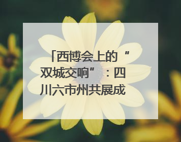 西博会上的“双城交响”：四川六市州共展成渝协同发展画卷｜西博视界