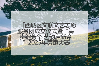 西城区文联文艺志愿服务团成立仪式暨“舞步绽芳华·艺韵启新章”2025年舞蹈大赛展演圆满举办