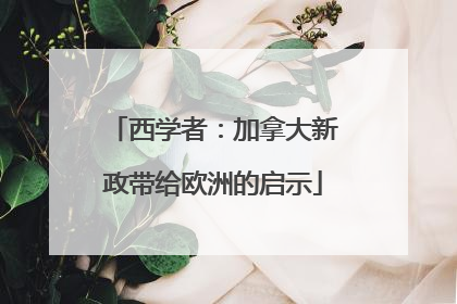 西学者：加拿大新政带给欧洲的启示