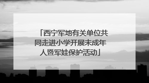 西宁军地有关单位共同走进小学开展未成年人暨军娃保护活动
