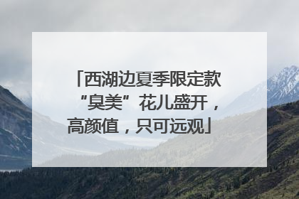 西湖边夏季限定款“臭美”花儿盛开，高颜值，只可远观