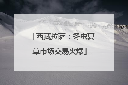 西藏拉萨：冬虫夏草市场交易火爆
