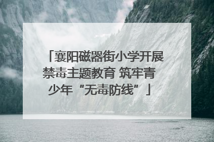 襄阳磁器街小学开展禁毒主题教育 筑牢青少年“无毒防线”