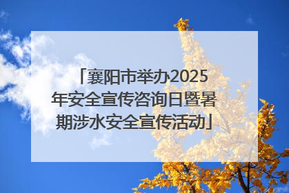 襄阳市举办2025年安全宣传咨询日暨暑期涉水安全宣传活动