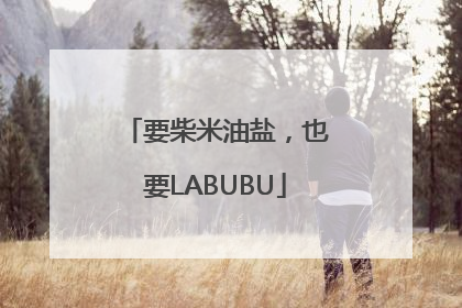 要柴米油盐，也要LABUBU