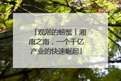 观潮的螃蟹丨湘南之南，一个千亿产业的快速崛起