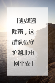 迎战强降雨，这群队伍守护湖北电网平安