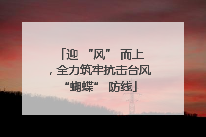 迎 “风” 而上，全力筑牢抗击台风 “蝴蝶” 防线