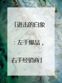进击的白象：左手爆品，右手经销商