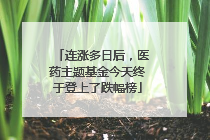 连涨多日后，医药主题基金今天终于登上了跌幅榜