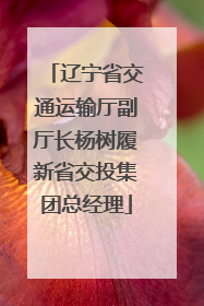 辽宁省交通运输厅副厅长杨树履新省交投集团总经理