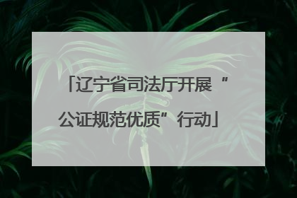 辽宁省司法厅开展“公证规范优质”行动