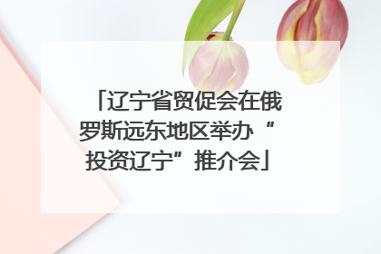 辽宁省贸促会在俄罗斯远东地区举办“投资辽宁”推介会