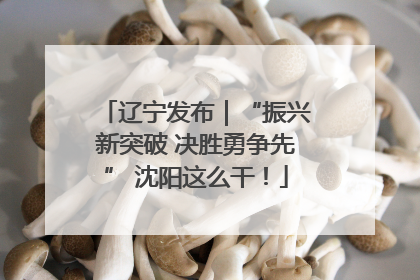 辽宁发布｜“振兴新突破 决胜勇争先” 沈阳这么干！