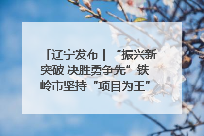 辽宁发布｜“振兴新突破 决胜勇争先”铁岭市坚持“项目为王”推进经济高质量发展