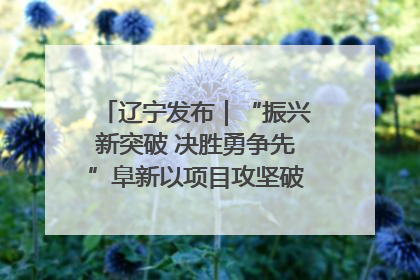 辽宁发布｜“振兴新突破 决胜勇争先”阜新以项目攻坚破解发展瓶颈 经济发展实现良好开局