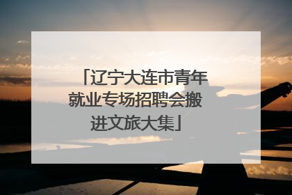 辽宁大连市青年就业专场招聘会搬进文旅大集