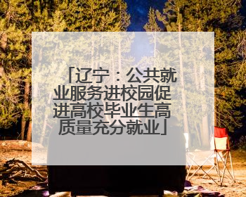 辽宁：公共就业服务进校园促进高校毕业生高质量充分就业