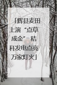 辉县麦田上演“点草成金” 秸秆发电点亮万家灯火