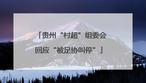 贵州“村超”组委会回应“被足协叫停”