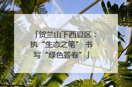 贺兰山下西夏区：执“生态之笔” 书写“绿色答卷”