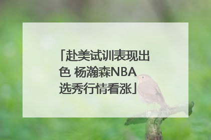 赴美试训表现出色 杨瀚森NBA选秀行情看涨