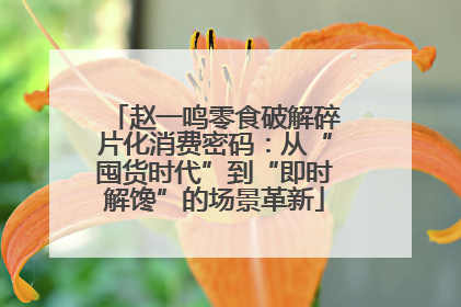 赵一鸣零食破解碎片化消费密码：从“囤货时代”到“即时解馋”的场景革新