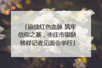 赓续红色血脉 筑牢信仰之基，枣庄市银龄榜样记者见面会举行
