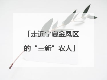 走近宁夏金凤区的“三新”农人