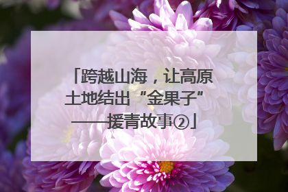 跨越山海，让高原土地结出“金果子”——援青故事②