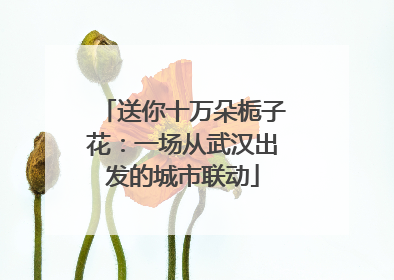 送你十万朵栀子花：一场从武汉出发的城市联动