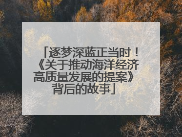 逐梦深蓝正当时！《关于推动海洋经济高质量发展的提案》背后的故事