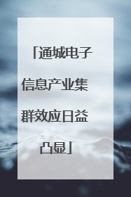 通城电子信息产业集群效应日益凸显