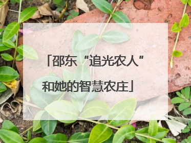 邵东“追光农人”和她的智慧农庄