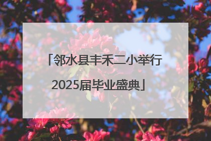 邻水县丰禾二小举行2025届毕业盛典