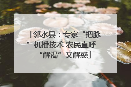 邻水县：专家“把脉”机播技术 农民直呼“解渴”又解惑