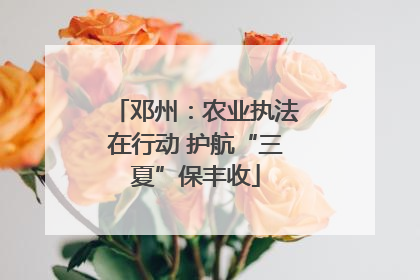 邓州：农业执法在行动 护航“三夏”保丰收