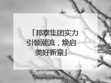邦泰集团实力引领潮流，焕启美好新章