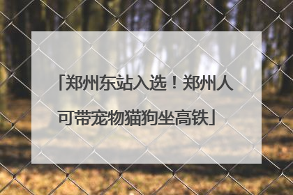 郑州东站入选！郑州人可带宠物猫狗坐高铁
